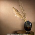  c arte essentials paletteb