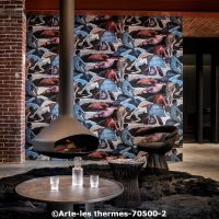  c arte les thermes 70500