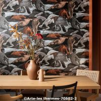  c arte les thermes 70502