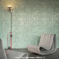  c arte les thermes 70511