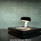  c arte les thermes 70511