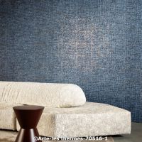  c arte les thermes 70516