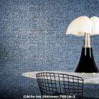  c arte les thermes 70516