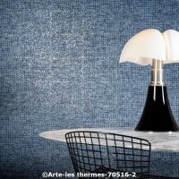  c arte les thermes 70516