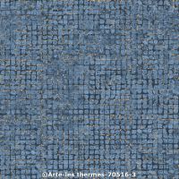  c arte les thermes 70516