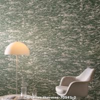  c arte les thermes 70541