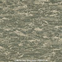  c arte les thermes 70541