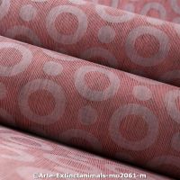  c arte extinctanimals mo2061 m