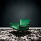  c arte extinctanimals mo2104