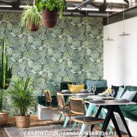  c casadeco botanica 85897247 1