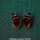  c eijffinger museum 307351