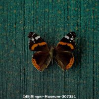  c eijffinger museum 307351