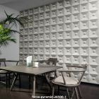 focus pyramid 26500 1