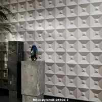 focus pyramid 26500 2