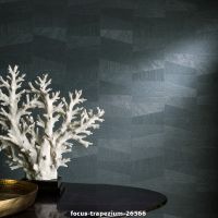 focus trapezium 26566