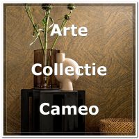 Arte Cameo
