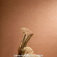  c arte manila tulle 73092a