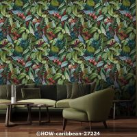  c how caribbean 27224