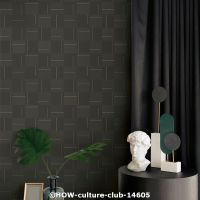  c how culture club 14605