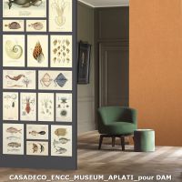 casadeco encc museum aplati pour dam9