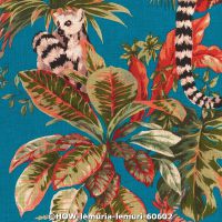  c how lemuria lemuri 60602