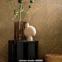 cameo arado 66000