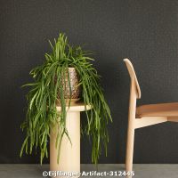  c eijffinger artifact 312445