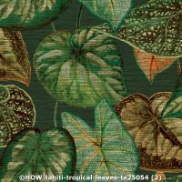  c how tahiti tropical leaves ta25054  2 