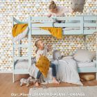 our planet diamond planet orange