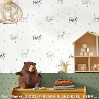 our planet grizzly bears blanc bleu bermuda triangle vert