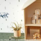 our planet grizzly bears blanc bleu bermuda triangle vert zoom