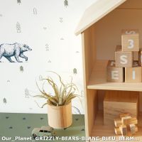 our planet grizzly bears blanc bleu bermuda triangle vert zoom