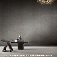  c arte essentialslesnuances chanderi