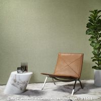  c arte essentialslesnuances chanderi