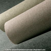  c arte essentialslesnuances chanderi m1