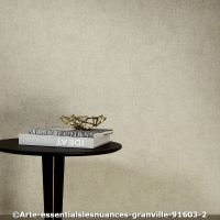  c arte essentialslesnuances granville 91603