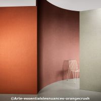  c arte essentialslesnuances orangecrush