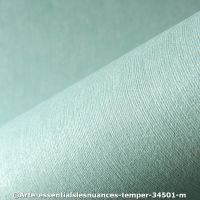  c arte essentialslesnuances temper m