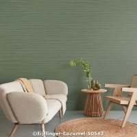  c eijffinger cozumel