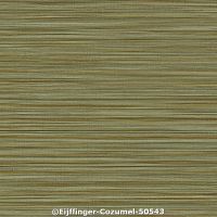  c eijffinger cozumel