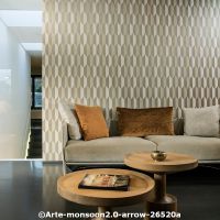  c arte monsoon2.0 arrowa