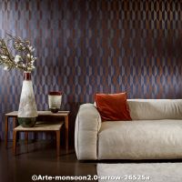  c arte monsoon2.0 arrowa