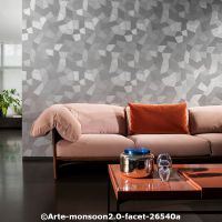  c arte monsoon2.0 faceta