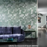  c arte monsoon2.0 faceta