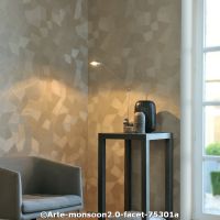  c arte monsoon2.0 faceta