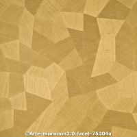  c arte monsoon2.0 faceta