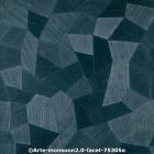  c arte monsoon2.0 faceta