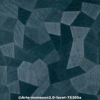  c arte monsoon2.0 faceta