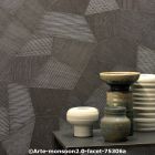  c arte monsoon2.0 faceta