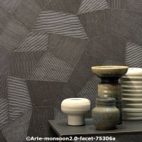  c arte monsoon2.0 faceta